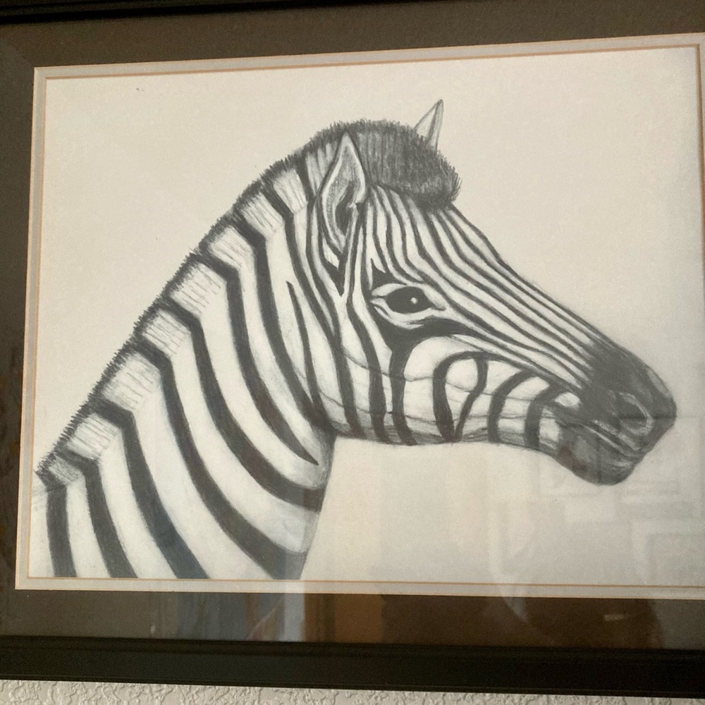 Framed Hand Drawn Zebra Print